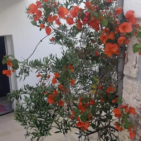 Hvar Deluxe Apartment Hvar Town