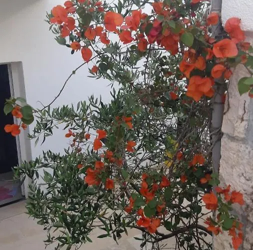 Hvar Deluxe Apartament Hvar Town