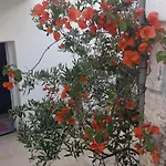 Hvar Deluxe Lejlighed Hvar Town